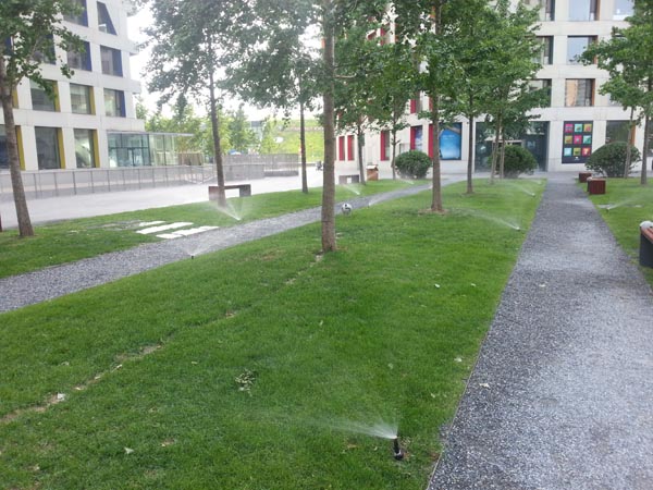 當代moma灌溉工程